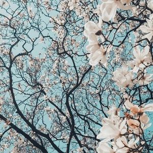 Meet your Posher, Kasey